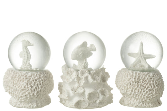 Waterglobe Sea Polyresin White L Assortment Of 3
