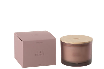 Geurkaars Accords Essentiels Figue Frivole-28h