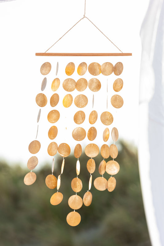 Windchime Coin Shell Brown