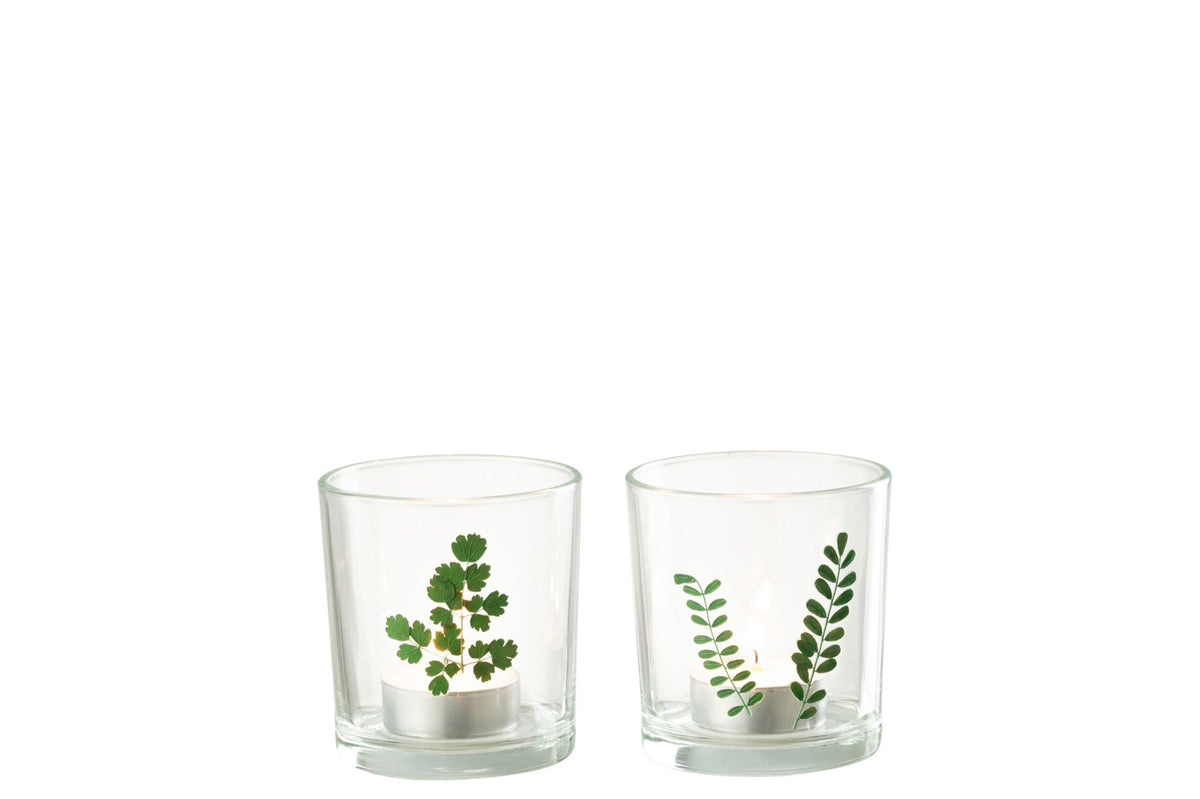 Theelichthouder Bladeren Glas Groen/Transparant Assortiment Van Twee