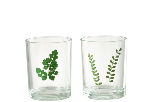 Windlicht Bladeren Glas Groen/Transparant Assortiment Van Twee