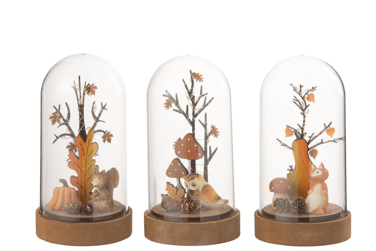 Bell Jar Fox/Owl/Squirrel LED Wood/Plastic Natural/Orange Assorment Of 3