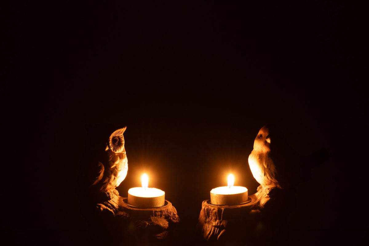 Windlicht+Uil Porselein Bruin Assortiment Van 2