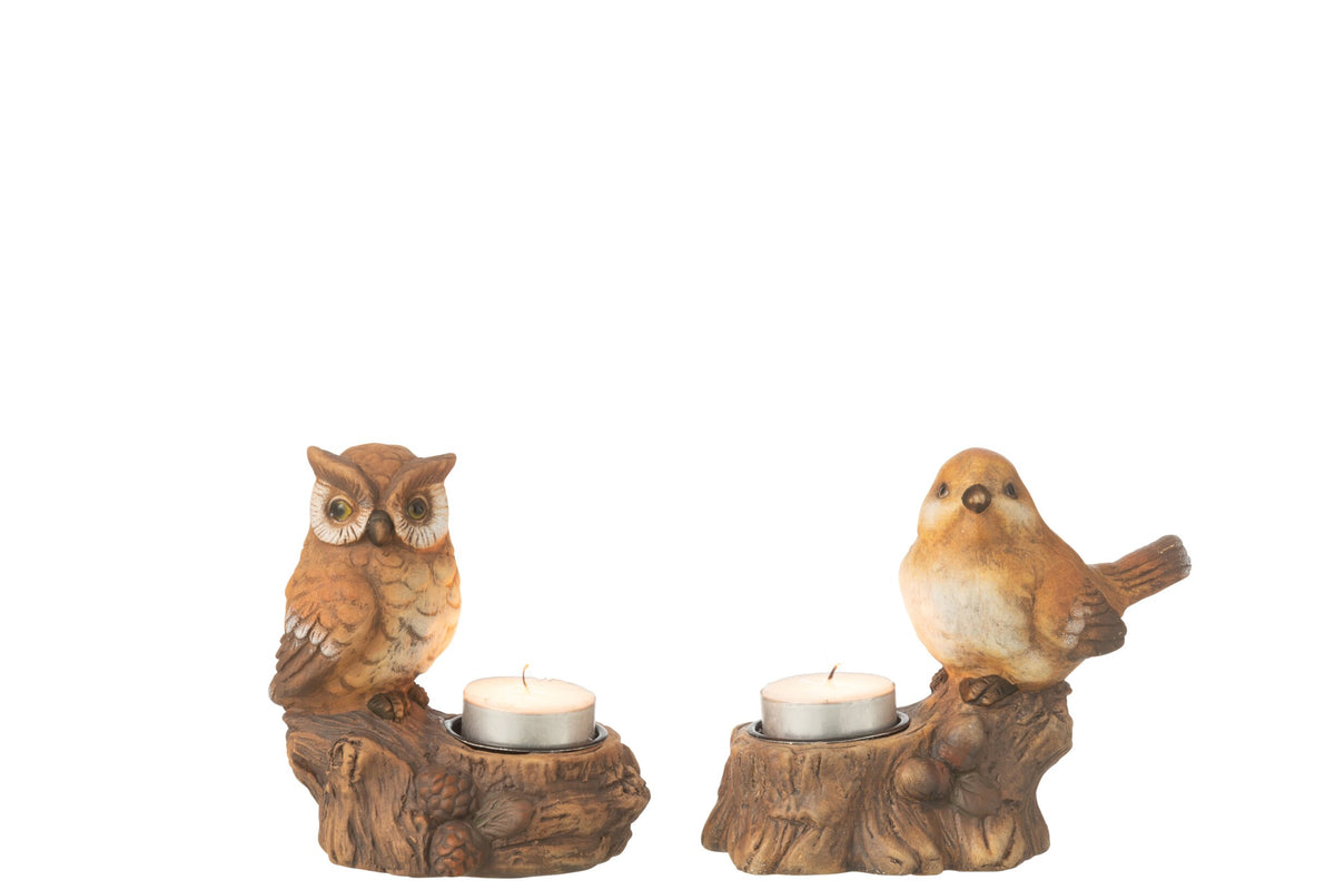 Windlicht+Uil Porselein Bruin Assortiment Van 2