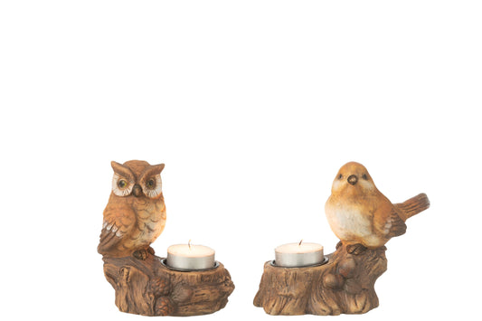 Windlicht+Uil Porselein Bruin Assortiment Van 2