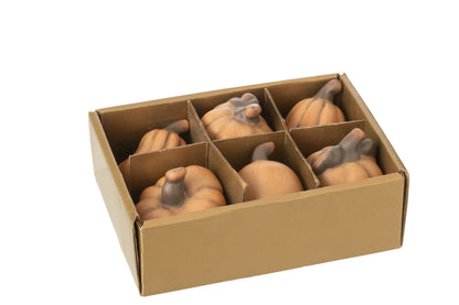 Box Of 6 Pumpkins Porcelain Brown
