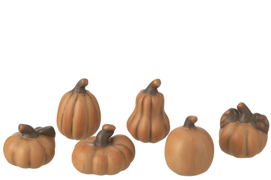 Box Of 6 Pumpkins Porcelain Brown