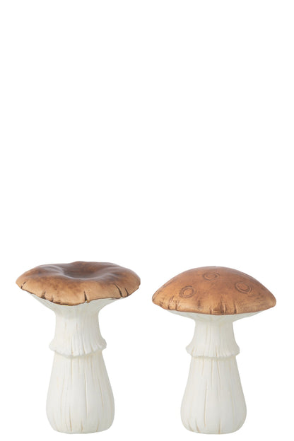 Mushroom Porcelain White/Brown Large Assortment Of 2