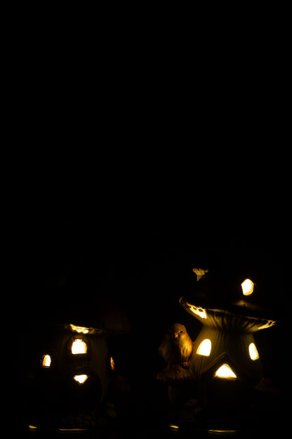 Mushroom House LED Porcelain Mix Assortment Of 2