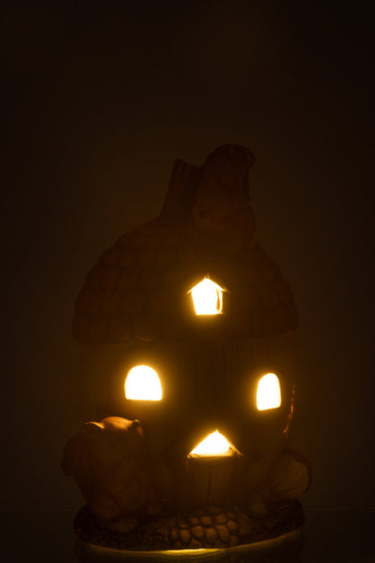 Acorn House LED Magnesium Mix