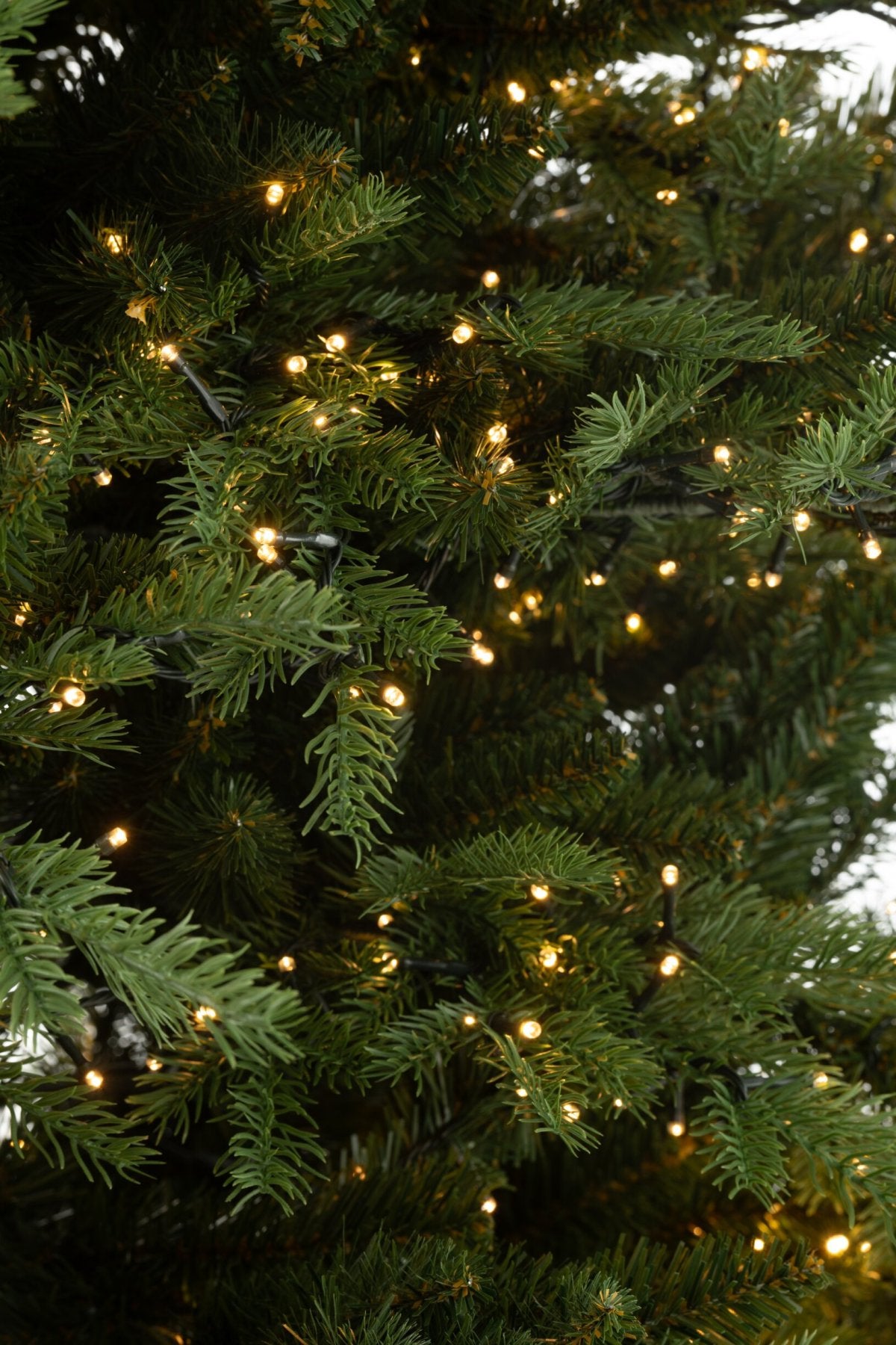 Xmas Tree 3000led Lights Plastic Green
