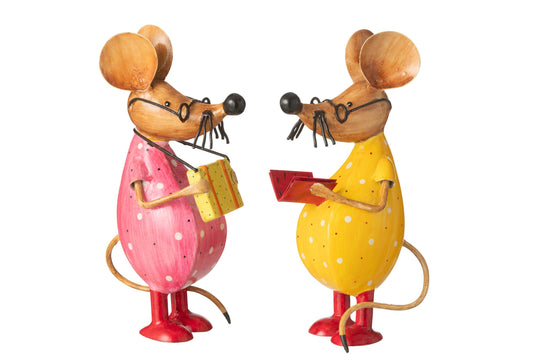 Mouse Book + Case Iron Mix Assortment Of 2