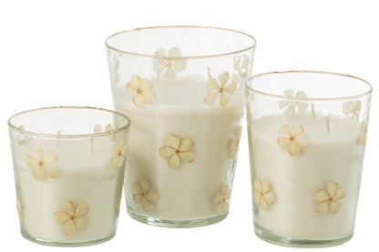 Geurkaars Bloemen Glas Transparant Large - 75 Uur