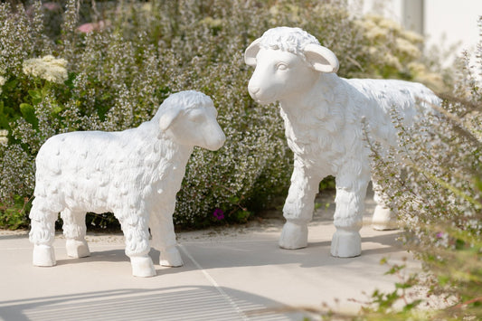 Sheep Outdoor MgO Beige Small