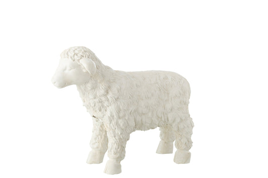 Sheep Outdoor MgO Beige Small