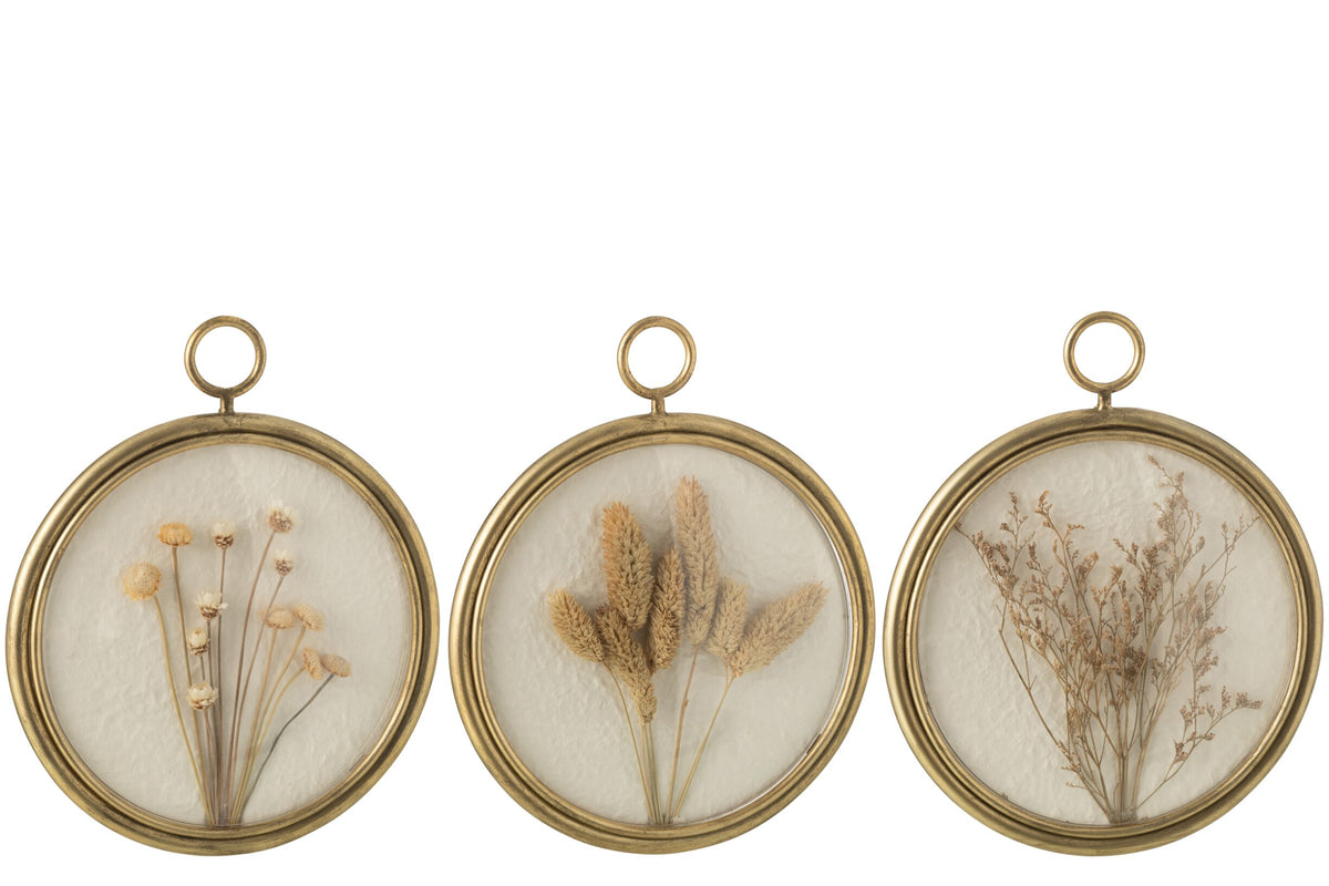 Wall Decoration Seed Iron/Mdf Mix Assortment Of 3