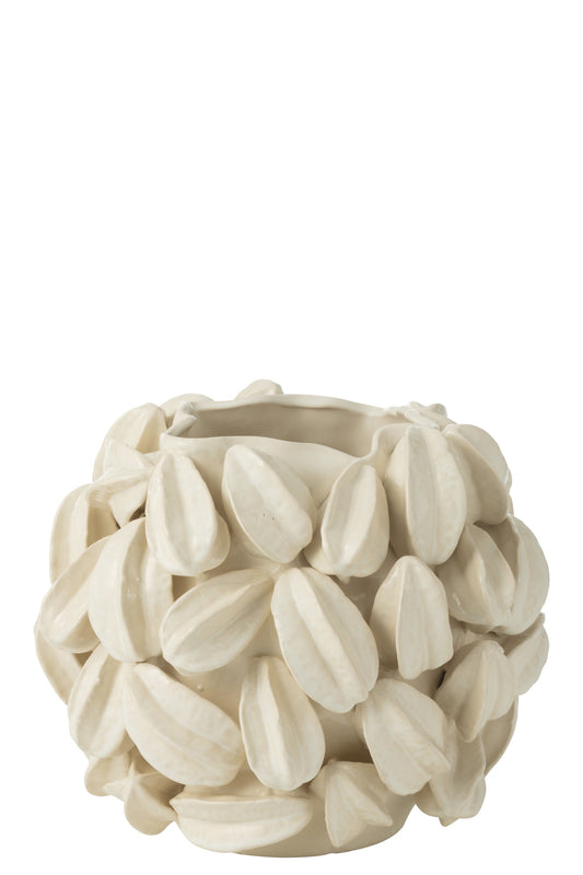 Vase Botanica Cocoa Pod Wide Clay Beige