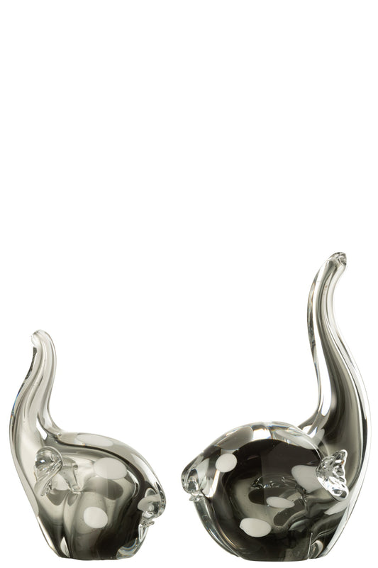 Elephant Glass Transparent/Black Large