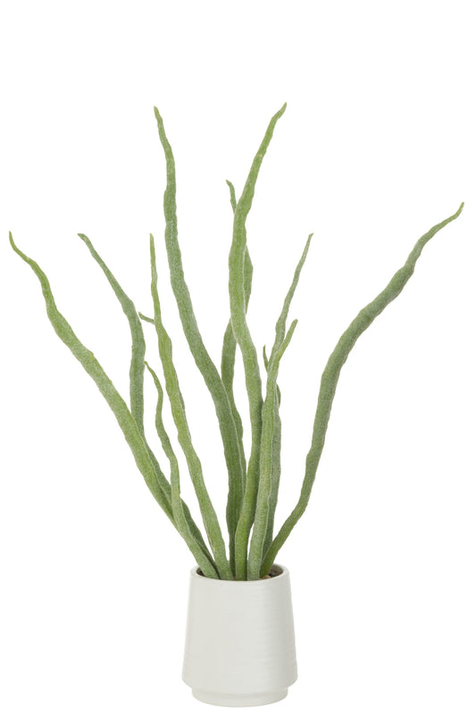 Succulent Plant In Pot Artificial Green