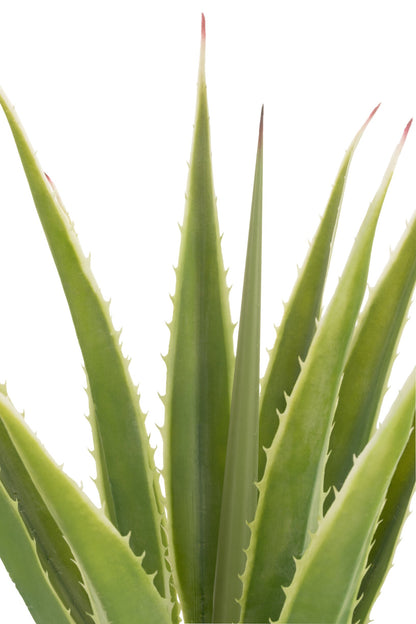 Agave Off-White Edge Pot Artificial Green