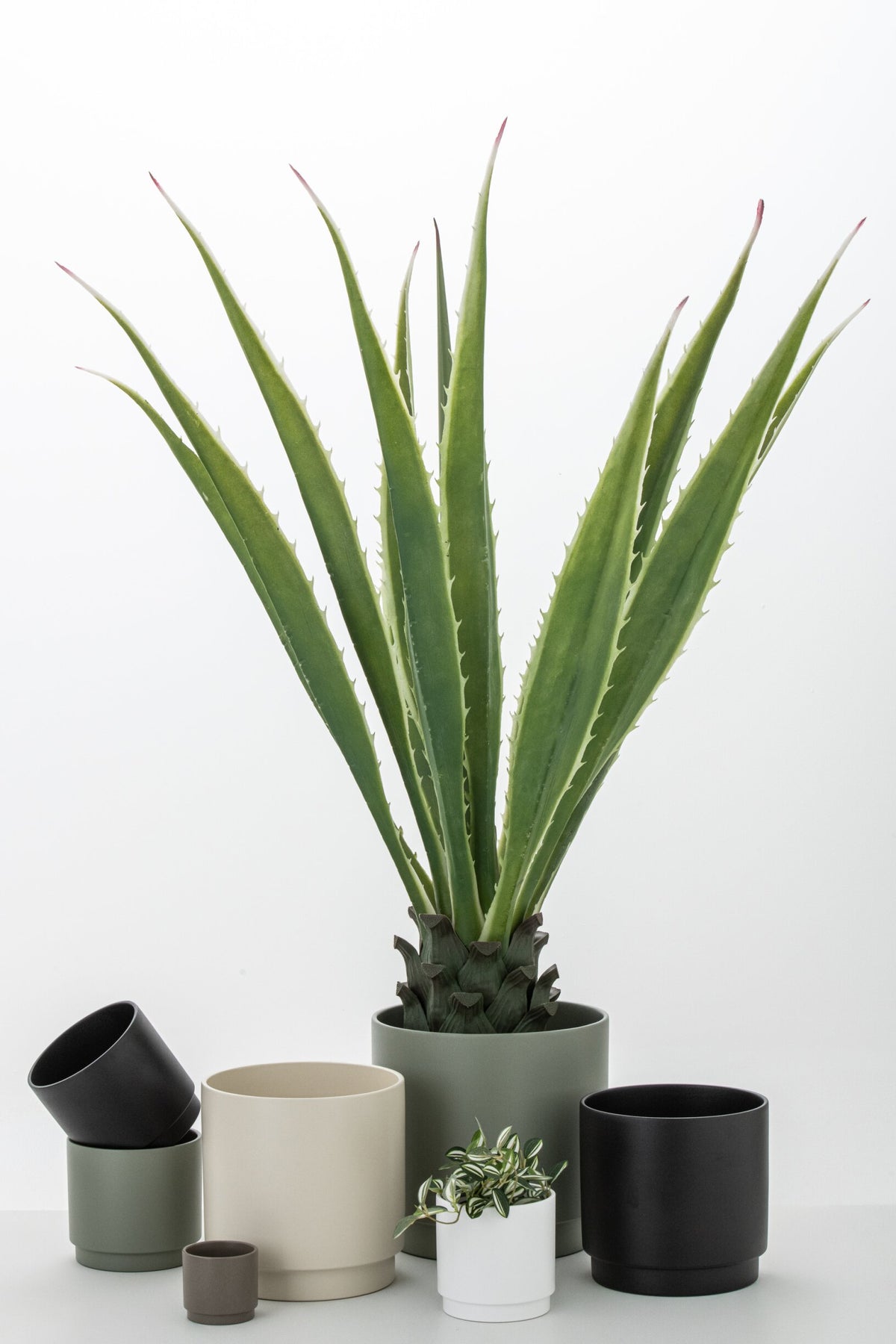 Agave Off-White Edge Pot Artificial Green
