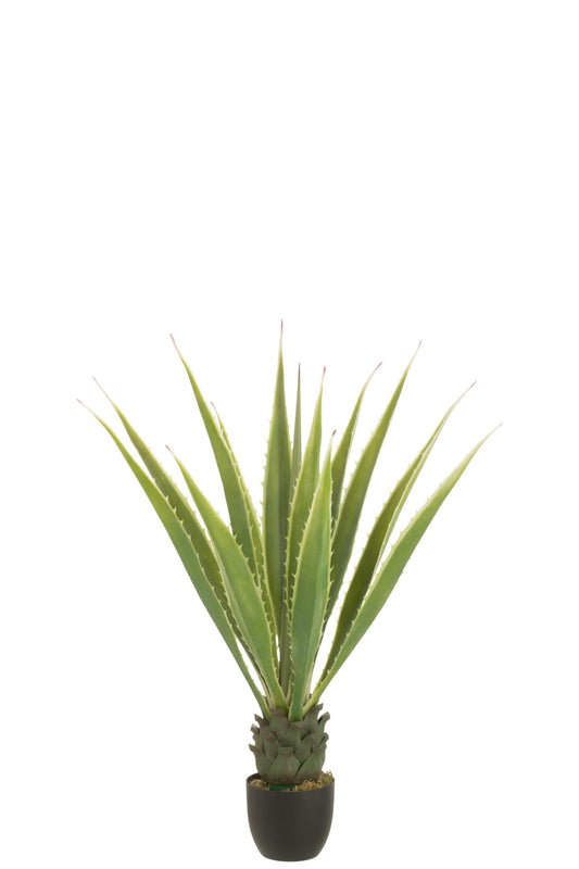 Agave Off-White Edge Pot Artificial Green