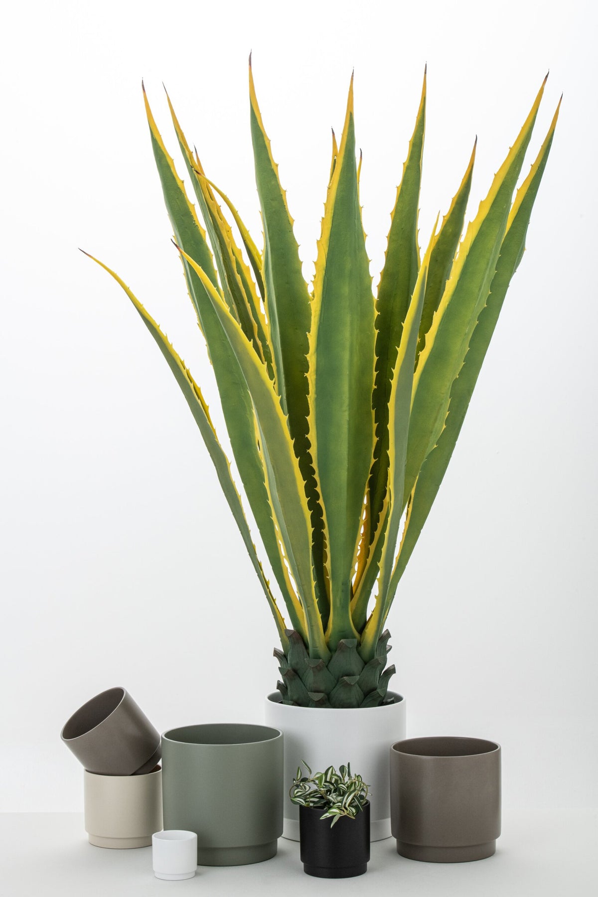 Agave Yellow Edge Pot Artificial Green