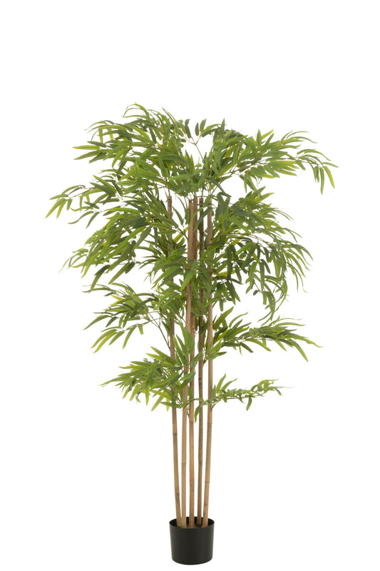 Bamboo Pot Artificial Green