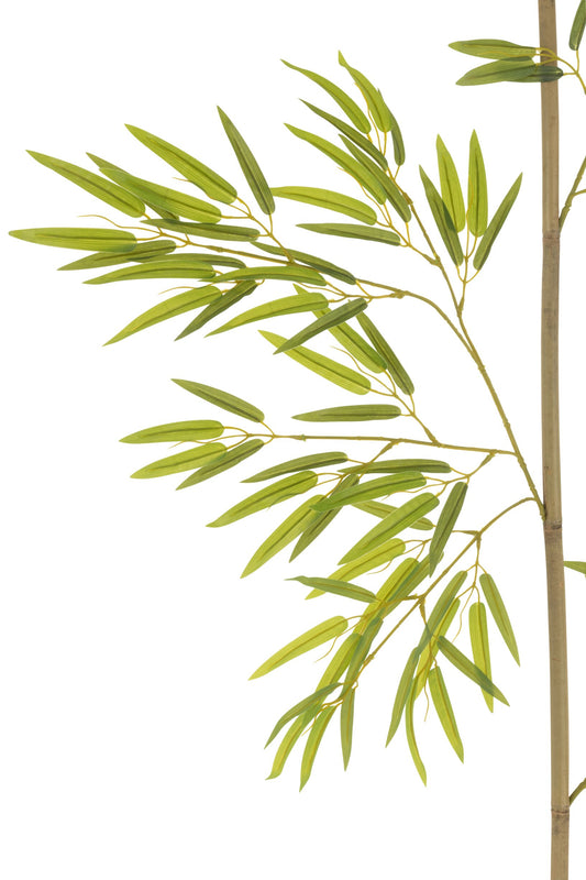 Bamboo Branch Artificial Green