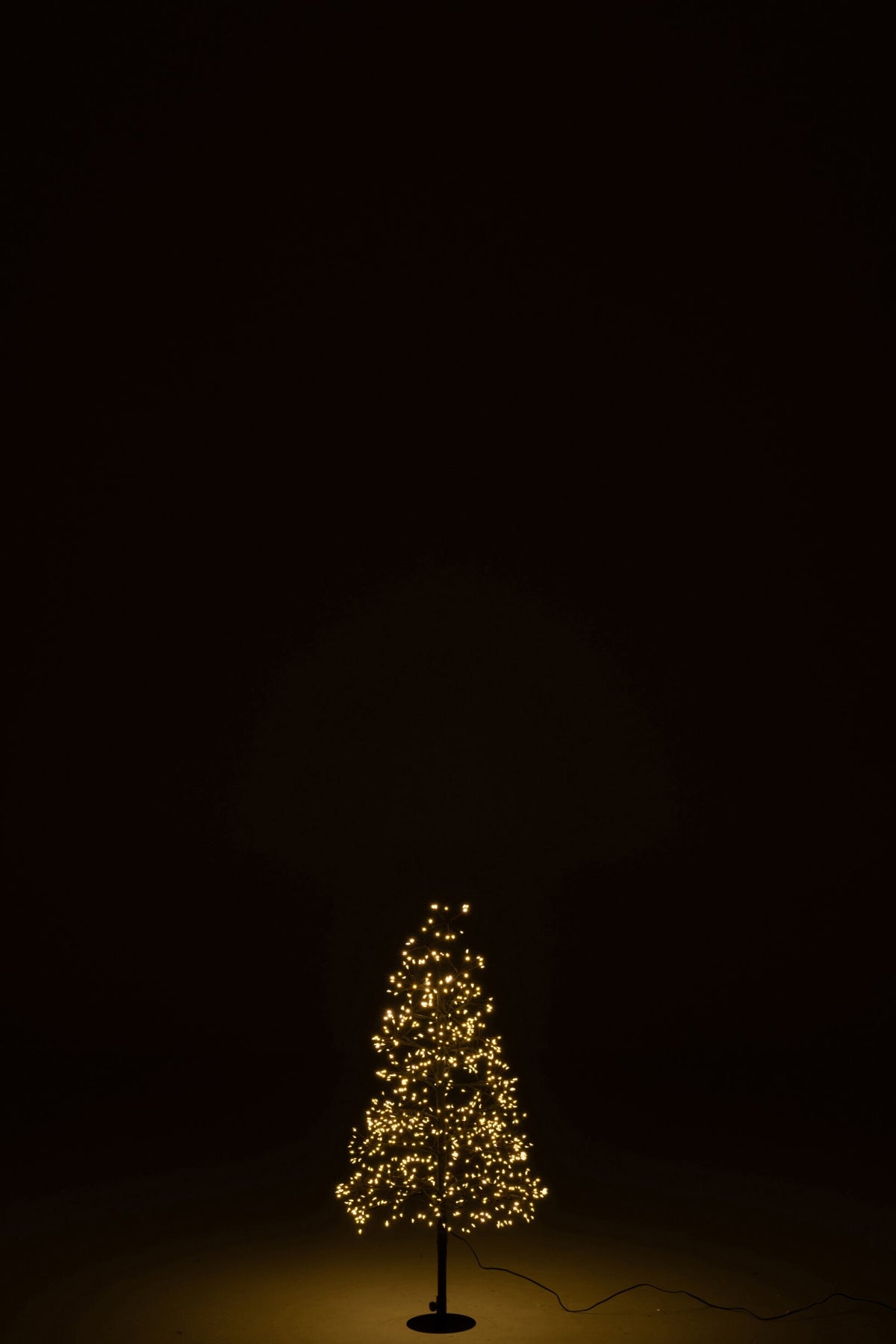 Tree LED Warm White Lights Iron Black Small