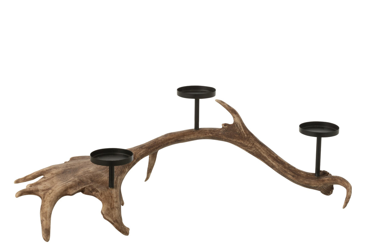 Kaarshouder Antlers Polyresin Bruin Large
