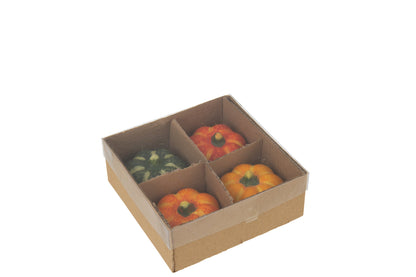Box Of 4 Pumpkin Clay Multicolored