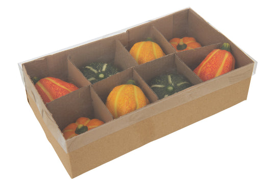 Box Of 8 Pumpkin Clay Multicolored