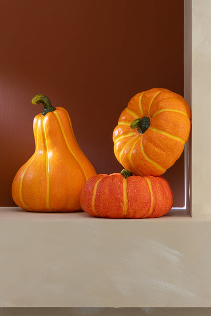 Pumpkin Autumn Magnesium Orange