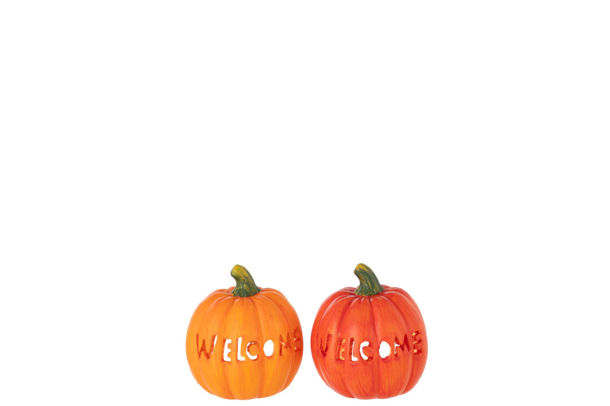 Pompoen Welcome Klei Oranje/Donkeroranje Small Assortiment Van 2