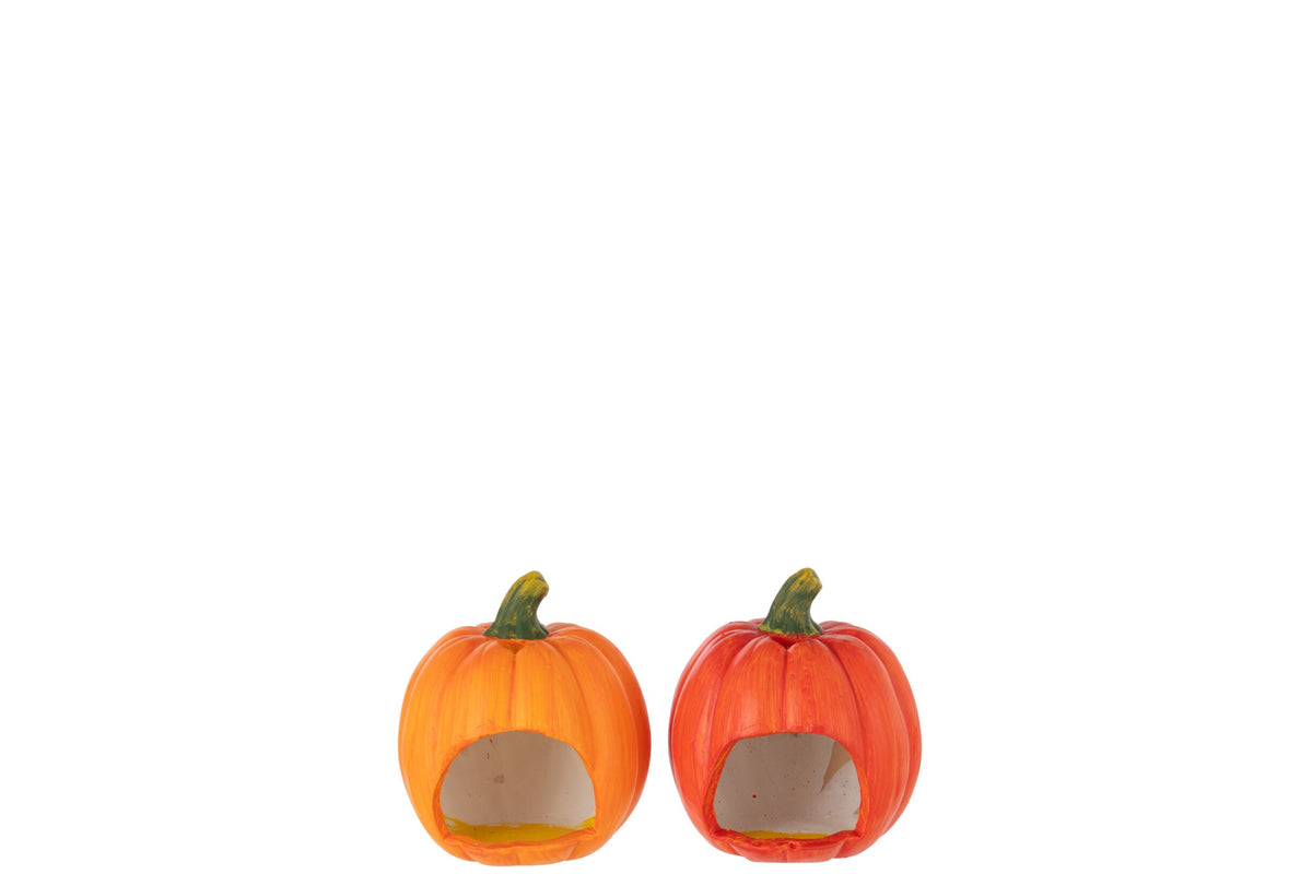 Pompoen Welcome Klei Oranje/Donkeroranje Small Assortiment Van 2