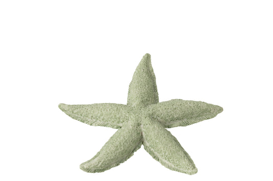 Starfish Polyresin Mint Green Small