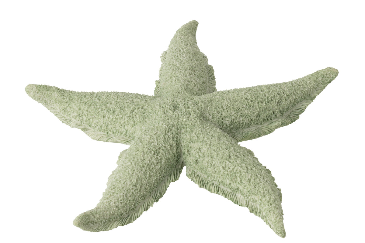 Starfish Polyresin Mint Green Large
