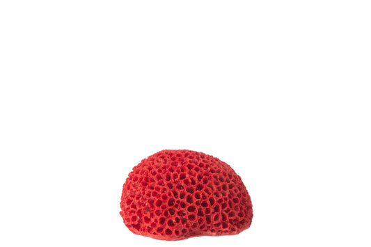 Coral Polyresin Red Small