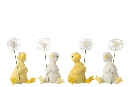 Duck Flower Resin White/Yellow Assortment Of 4