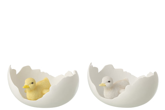Duck In Egg Shell Resin White/Yellow Large Assortment Of 2