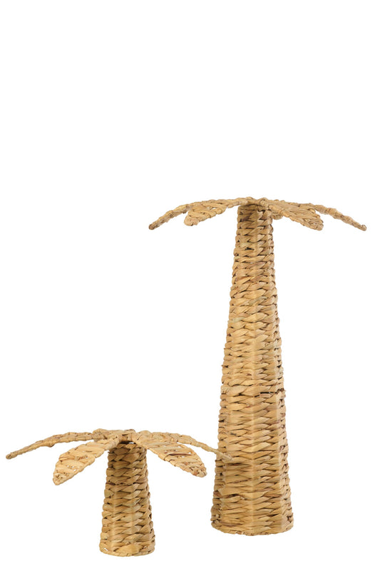 Palm Tree Water Hyacinth Natural Large