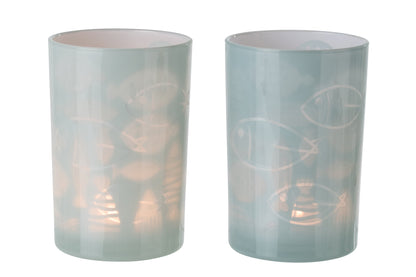 Windlicht Vis Glas Grijs Large Assortiment Van 2