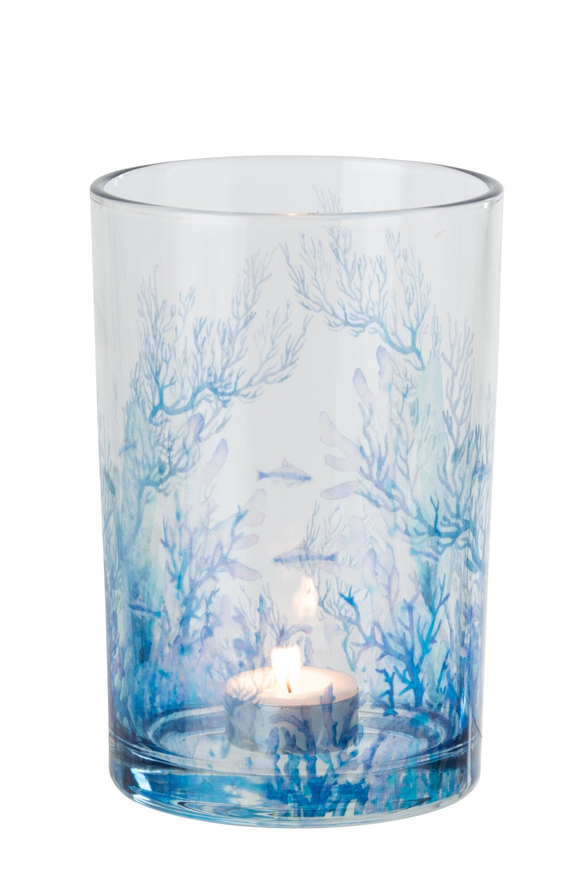 Windlicht Koraal Glas Blauw/Transparant Large