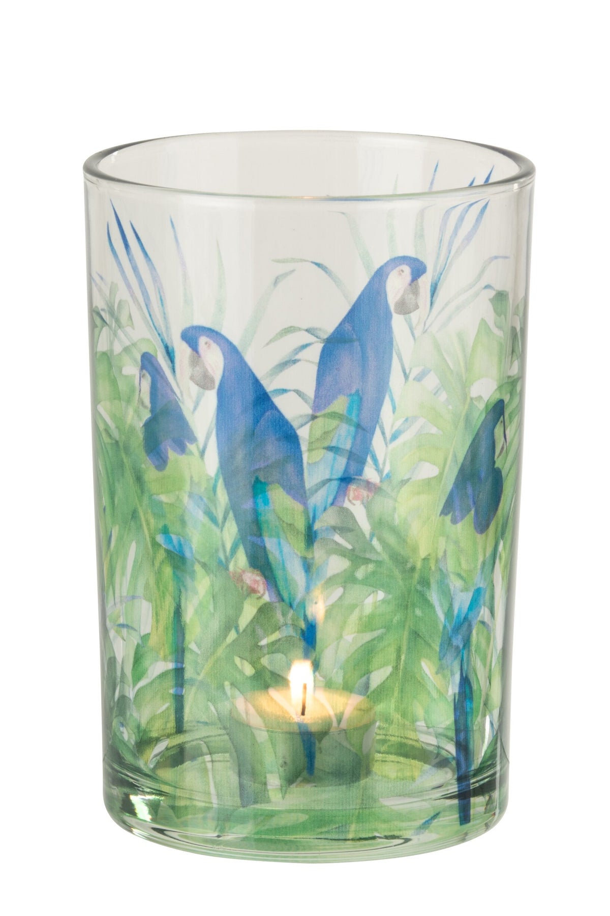 Windlicht Papegaai Glas Blauw/Groen Large