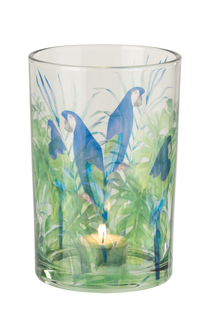 Windlicht Papegaai Glas Blauw/Groen Large