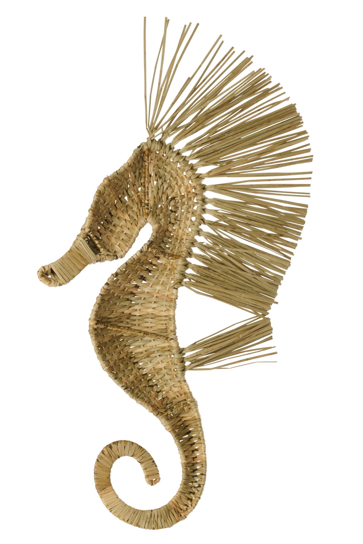 Wall Object Seahorse Grass Natural Large