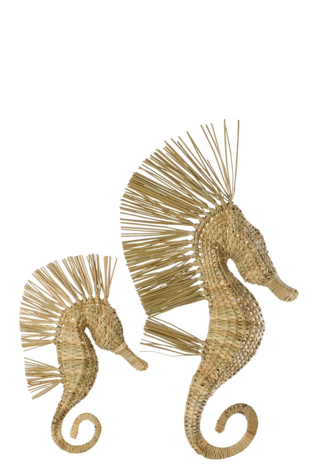 Wall Object Seahorse Grass Natural Large
