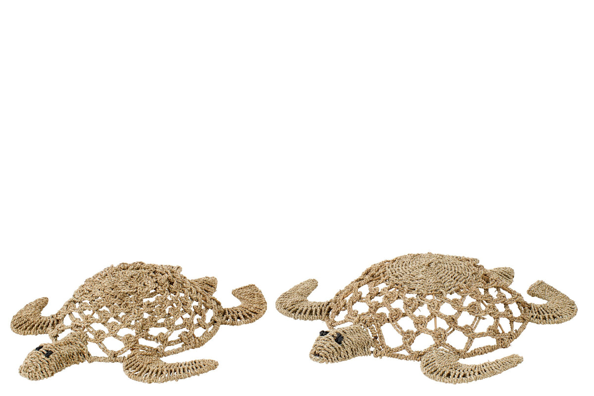 Set Of 2 Wall Object Turtle Seagrass Natural